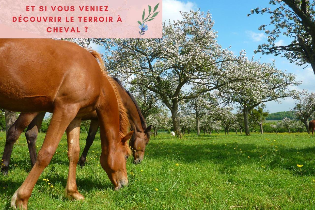Suite Jungle - Jardin, Netflix Et Parking - Le Manoir Aux Pommes Orbec Экстерьер фото